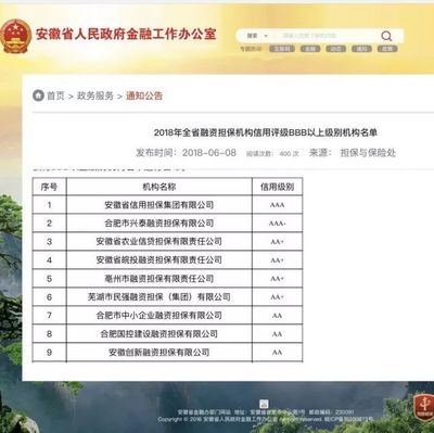 亳州市擔(dān)保公司榮獲2018年全省融資擔(dān)保機(jī)構(gòu)信用評級AA+級別