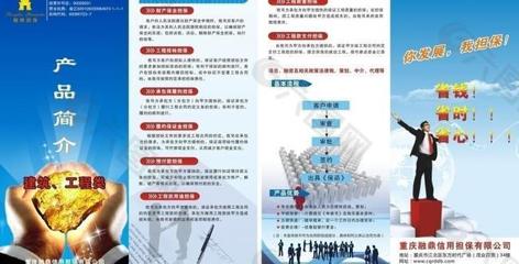 金融擔(dān)保單頁圖片