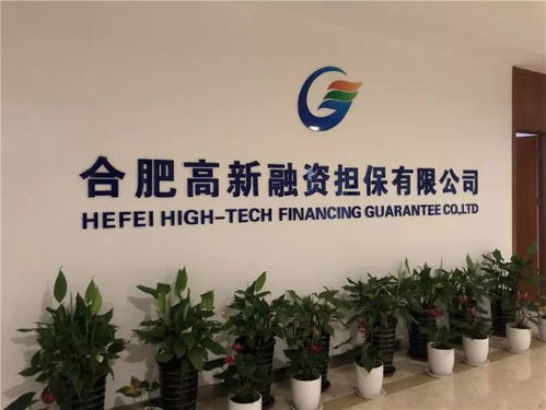 點(diǎn)贊 高新?lián)９拘庞玫燃壧嵘羇 級別