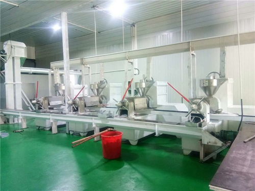 食用油牡丹籽油精煉油設備多少錢 悅恒機械誠信經營