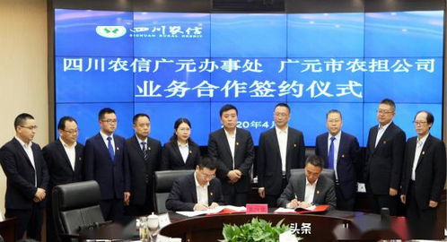 四川省電視藝術家協會團體會員單位在行動 七十七