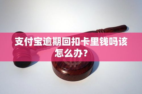 如何處理支付寶逾期導(dǎo)致的銀行卡自動扣款及信用擔(dān)保問題
